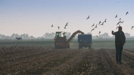 De Kunst van het Boeren