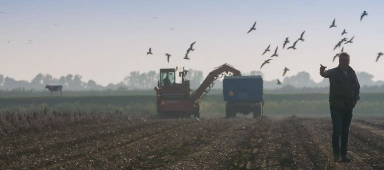 Intrigerende TV-serie over de kunst van het boeren